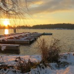 Der See im Winter